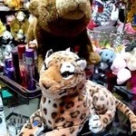 عروسک فروشی رضا