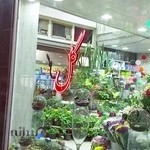 گل سرای امینی