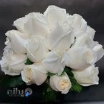 گلسرای آذین 2