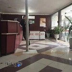 نمایندگی کیا موتورز خیاط زاده