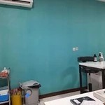 کلینیک دامپزشکی هوکو