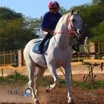 باشگاه سوارکاری بیرگان