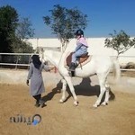باشگاه سوارکاری موگهی