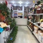 گلسرای گل نرگس