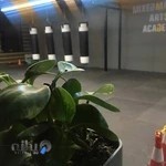 mammut club/باشگاه رزمی ماموت