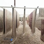 قالیشویی صفا
