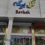 گلفروشی برکه