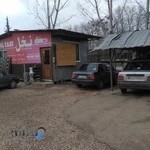 موسسه اتومبیل کرایه نخل