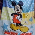 فروشگاه پتوی مسافرتی