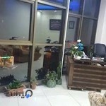 دکتر زرین فرد