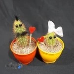 فروشگاه کادویی زرفان