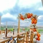 آقای کرایه