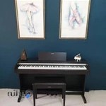 Tanin & Rohab Private Music Schools