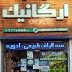 ارگانو ارگانیک