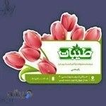 فروشگاه ارگانیک طیبات