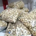 محصولات ارگانیک حس خوب