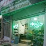 محصولات ارگانیک و خانگی نوین سبزی (ترخون)