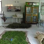 عرقیات گیاهی و سنتی سمنی‌نانا