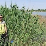 فروشگاه طبیعت