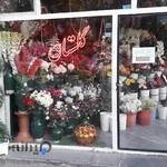 گلفروشی گلستان