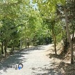 طهران موتور اسپورت