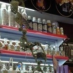 گالری عطر صلاله