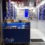 عطریات پاریس