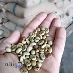 فروشگاه قهوه کی کیو | KQCoffee Shop