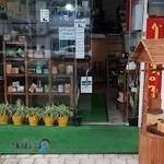 چایی بهاره ابی کوچولو