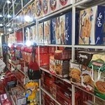 زیتون ساحلی