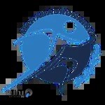 فروشگاه مهاباد رانینگ