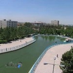 بوستان نرگس