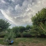 بوستان نیلوفر