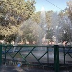 بوستان گل نما