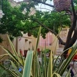 کافه بازی خونه مون