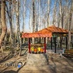 باغ بانوان ناژوان