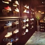 مرکز کتونی یوکا