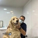 پت شاپ و کلینیک دامپزشکی آپادانا