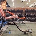 باشگاه بدنسازی فلکس