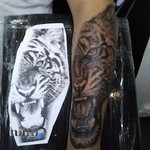 سالن تتو بردیا