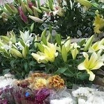 بوتیک گل پارمیس