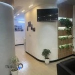 موسیقی جانان