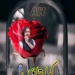 مسجد دارالسلام