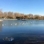 بوستان قائم