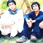 باغ مازندان