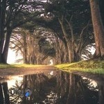 تعمیرگاه مکانیکی فدرال