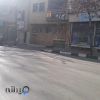 دکتر سید سعید احمدزاده هاشمی