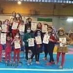 باشگاه ستاره های ژیمناستیک