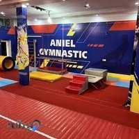 آکادمی ژیمناستیک علیشاهی