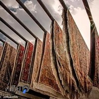 قالیشویی حاجی ابادی